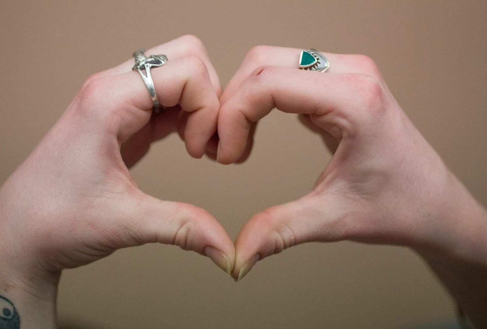 Two hands pressed together over a heart shape cut into a tree trunk
